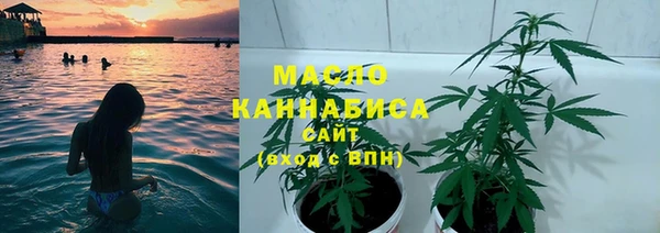 дживик Арсеньев