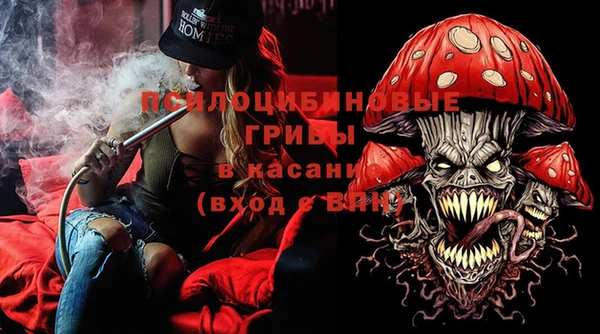 дживик Арсеньев