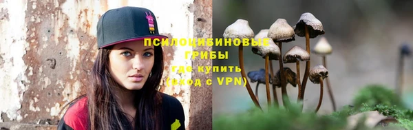кокаин колумбия Новозыбков