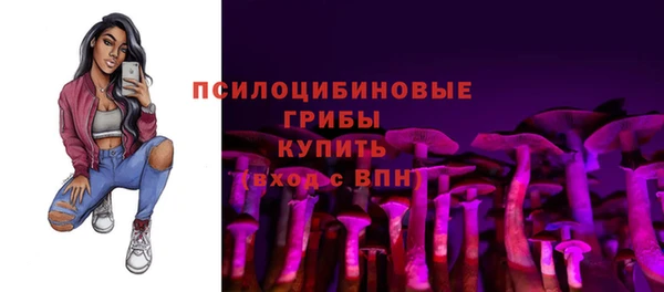 дживик Арсеньев