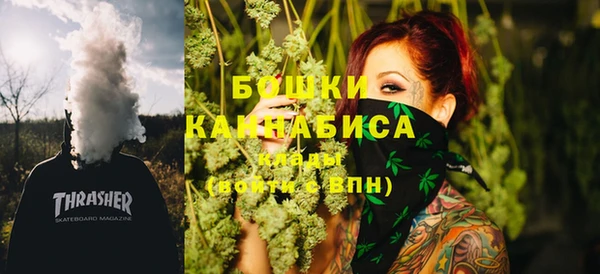 дживик Арсеньев