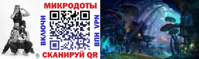 Галлюциногенные грибы Psilocybe Цивильск